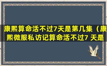 康熙算命活不过7天是第几集（康熙微服私访记算命活不过7 天是）